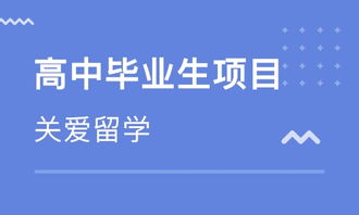武漢西班牙留學(xué)中介 專業(yè)指南與自費出國服務(wù)全解析